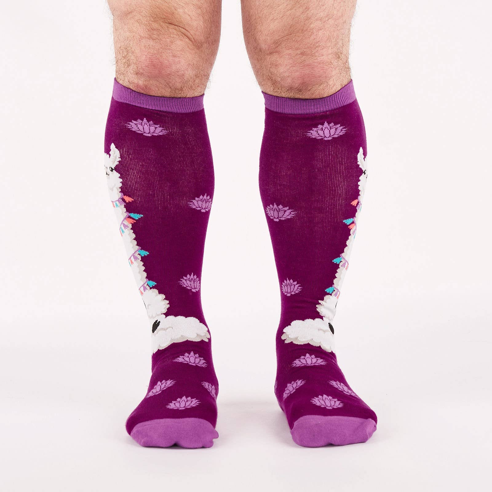 Sock it to Me - Stretch-It Knee High Sock: Llamaste