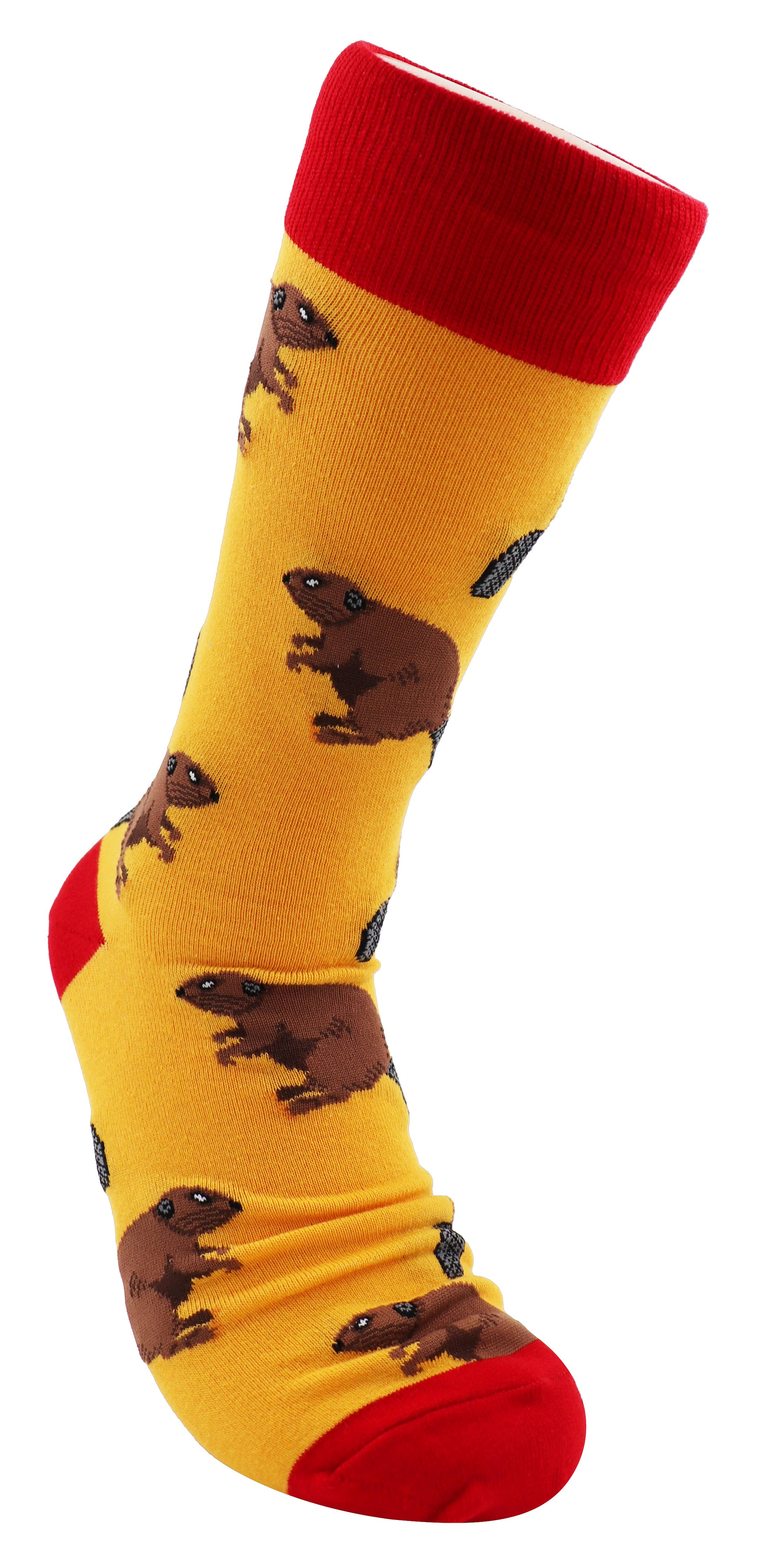 SoXcellent - Beaver Animal Unisex Fun Crew Novelty Funny Socks
