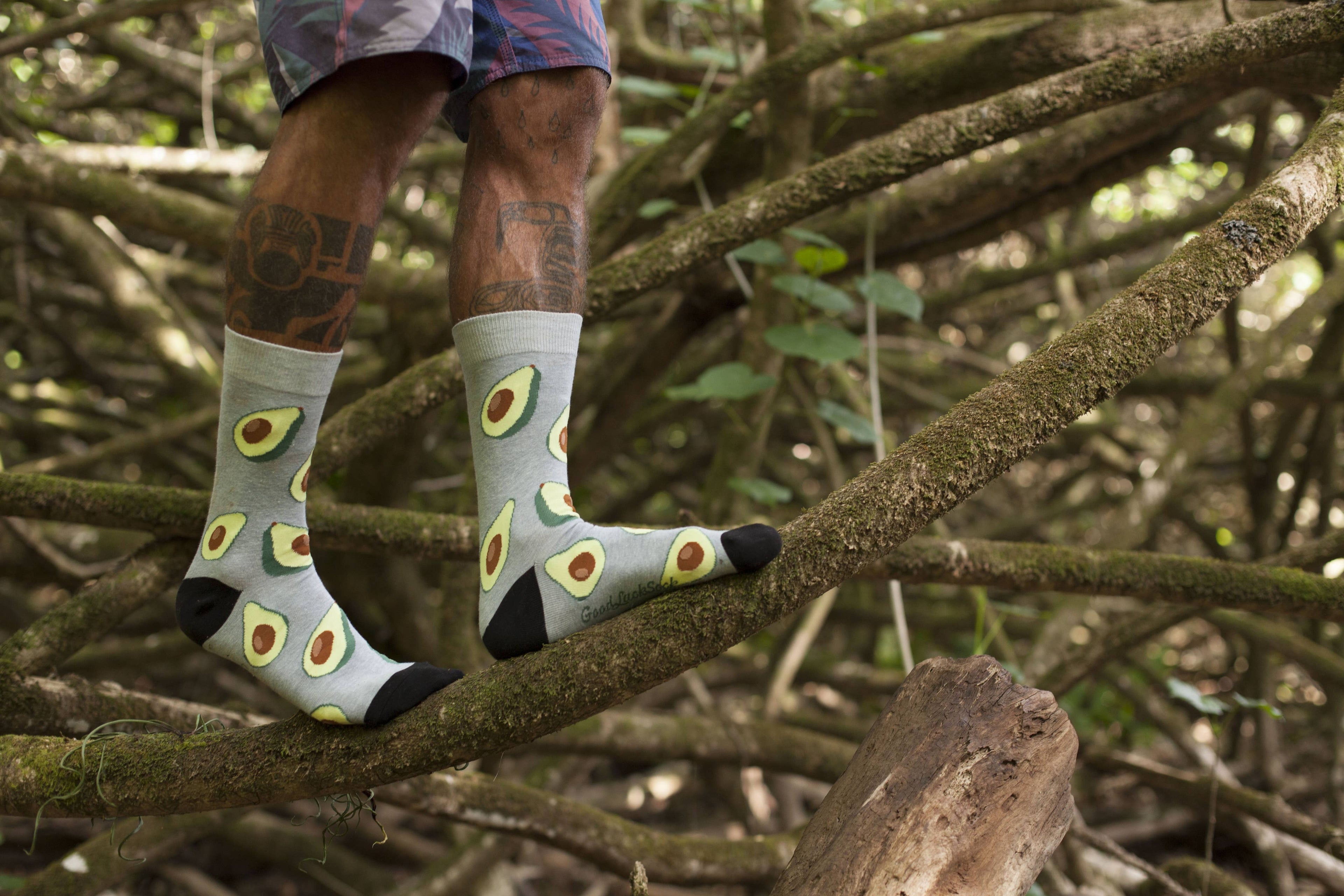 Good Luck Sock - Men's Avocados Socks