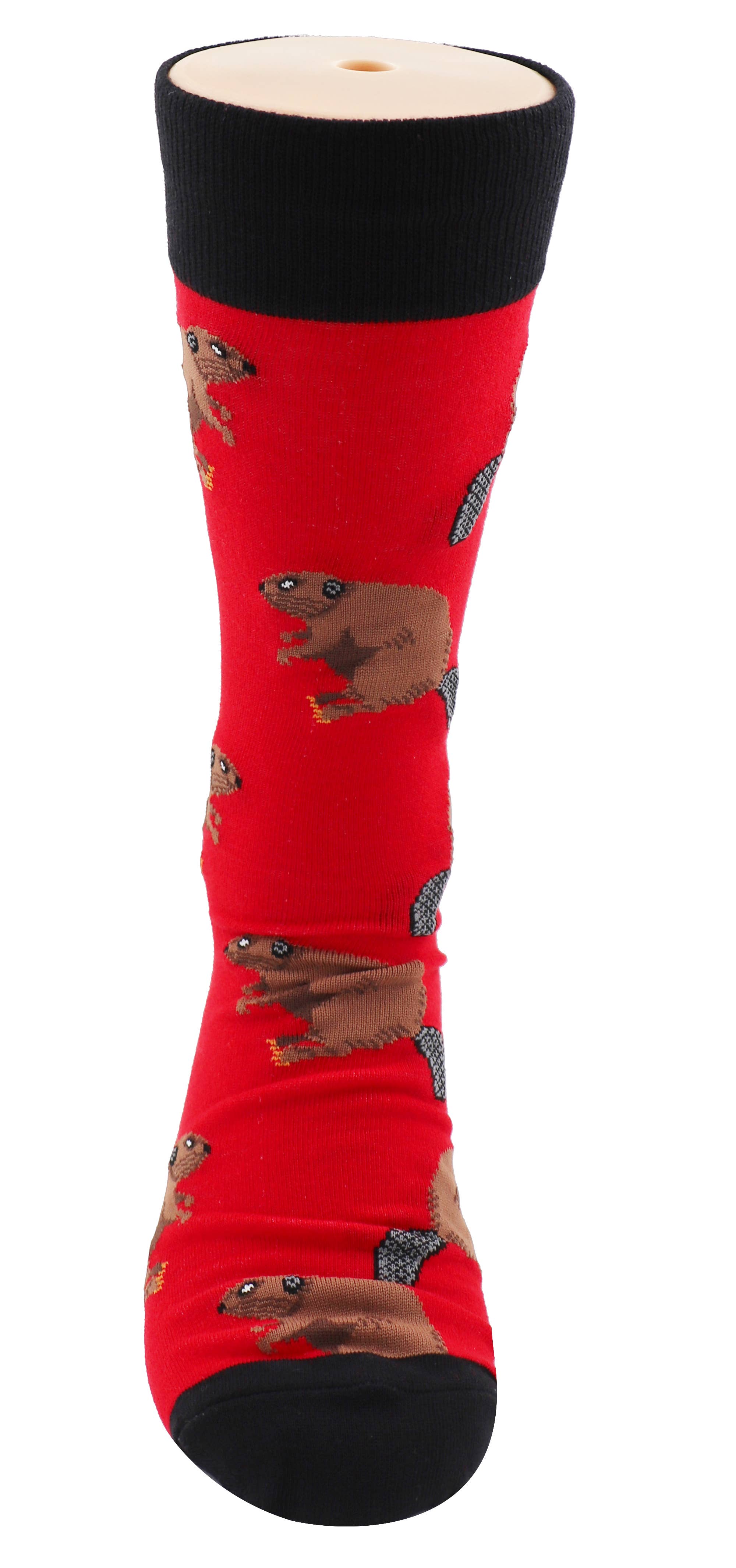 SoXcellent - Beaver Animal Unisex Fun Crew Novelty Funny Socks