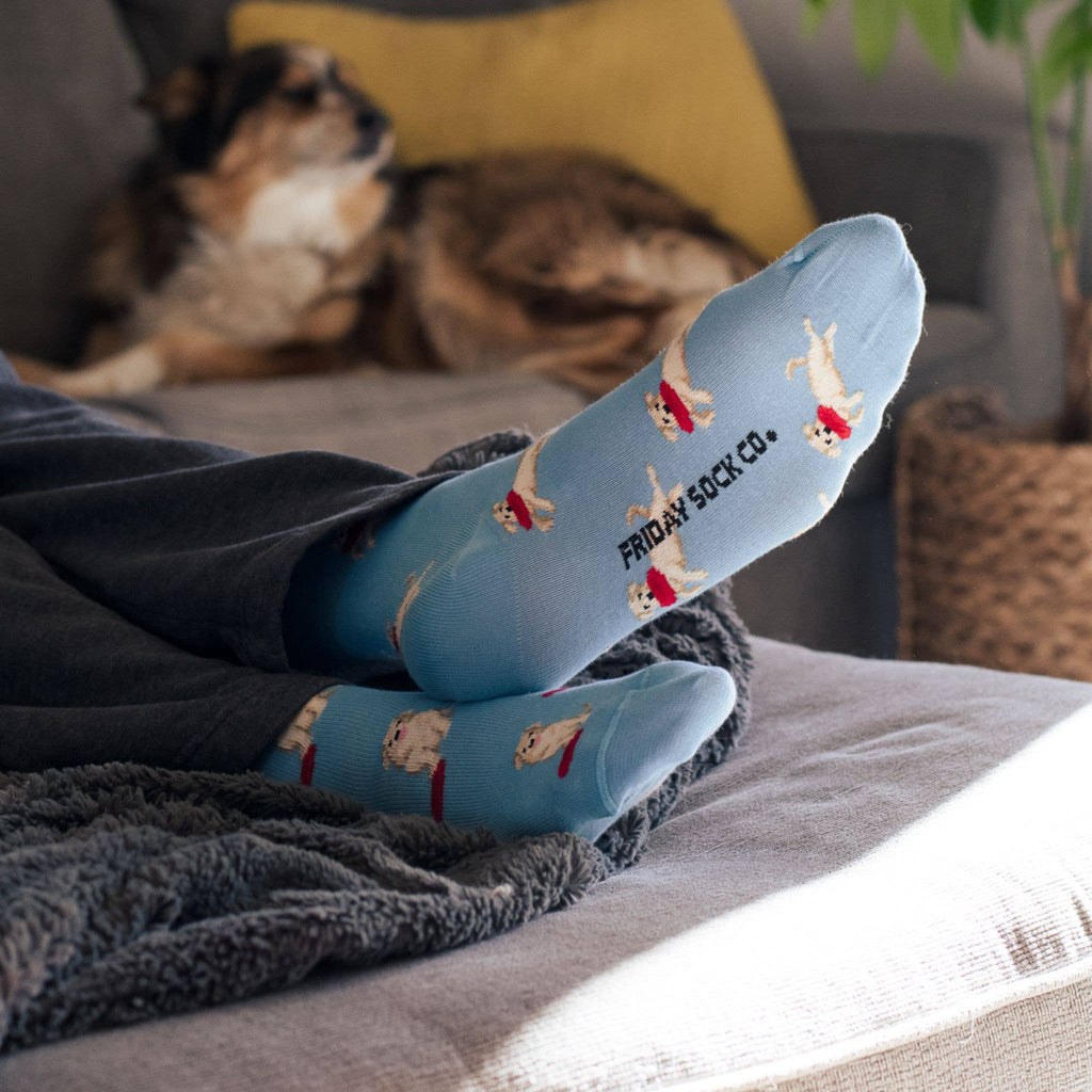 Friday Sock Co. - Men's Dog & Frisbee Mid-Calf Socks