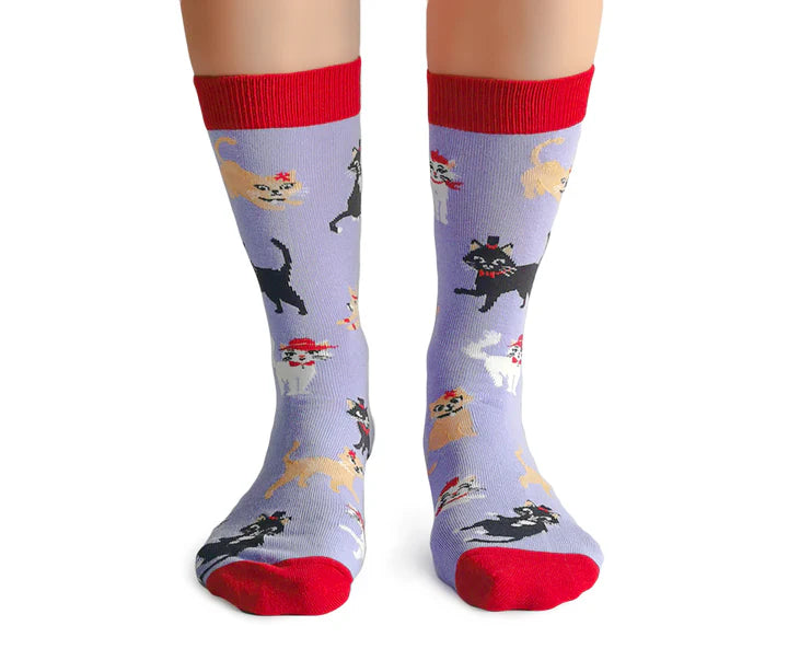 Uptown Sox - Women's - Cats in Hats Socks for HER