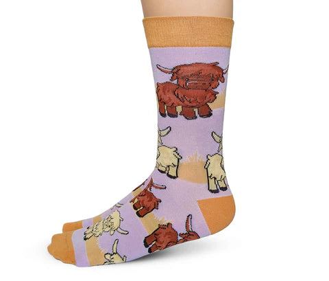 Uptown Sox - Women's - Highland Cows Socks