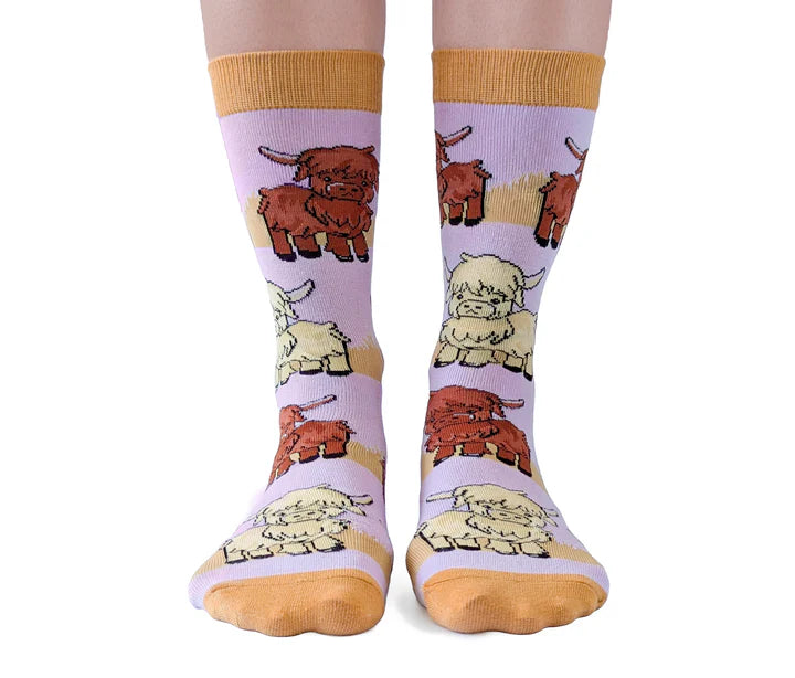 Uptown Sox - Women's - Highland Cows Socks