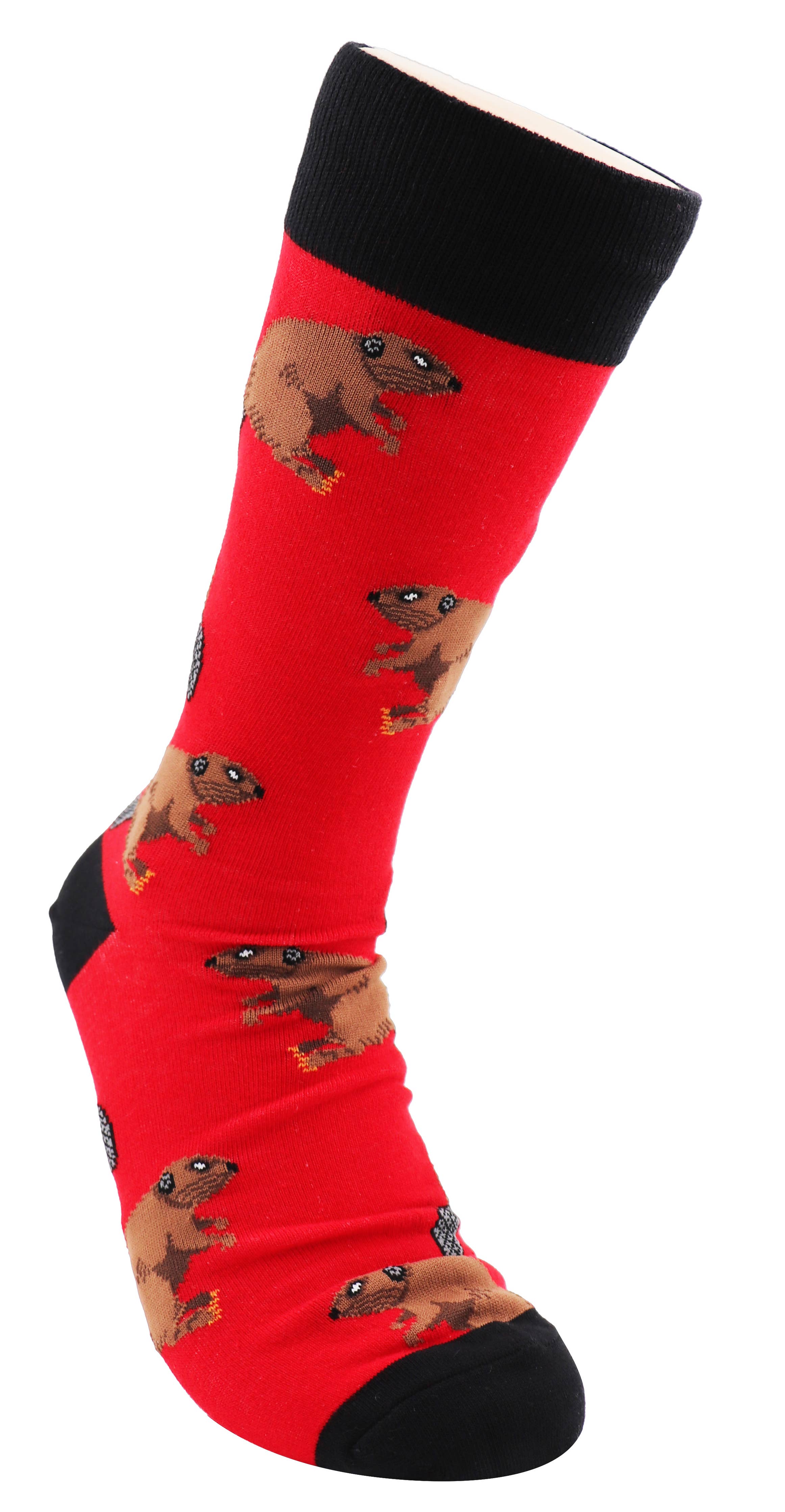SoXcellent - Beaver Animal Unisex Fun Crew Novelty Funny Socks