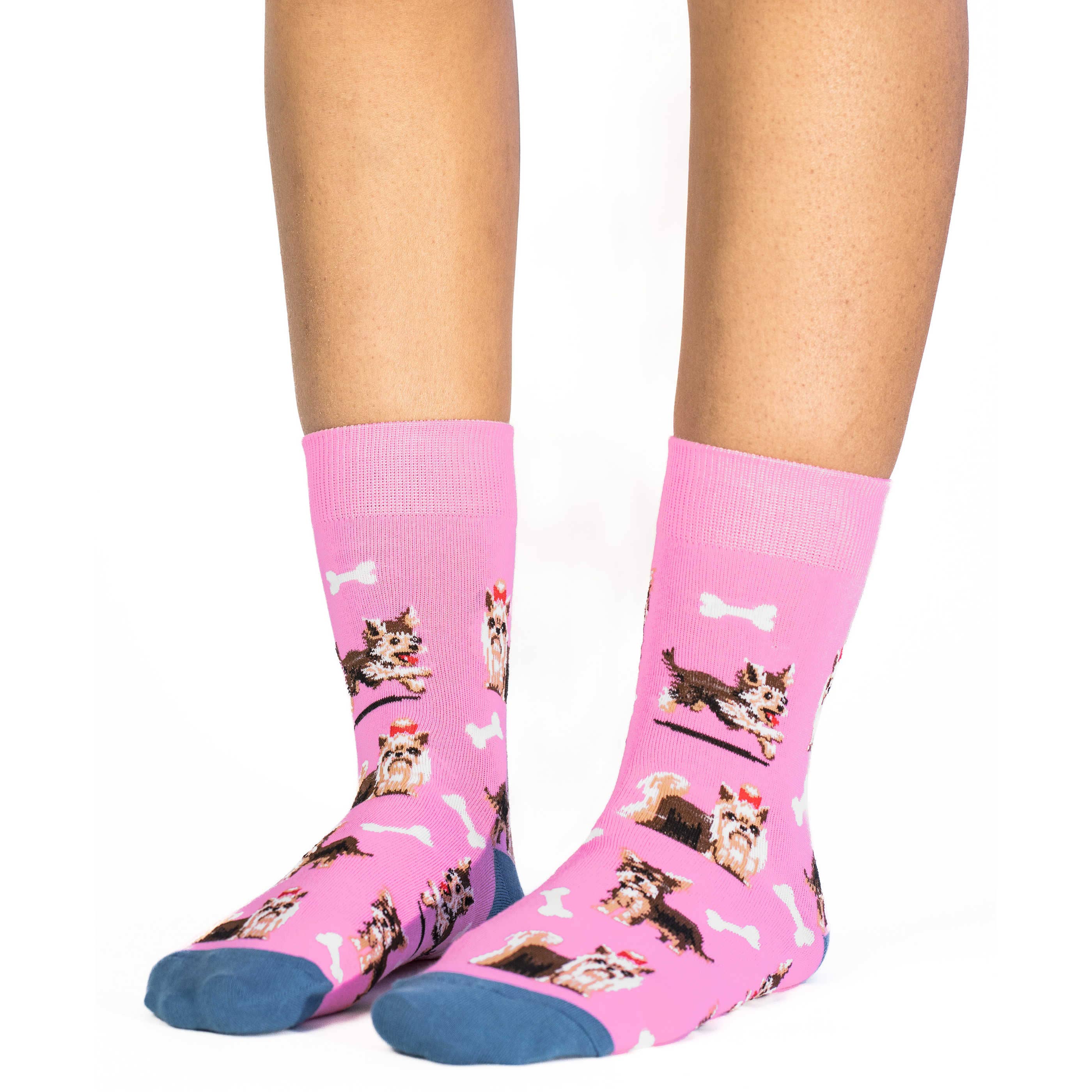 Good Luck Sock - Women's Yorkie Socks