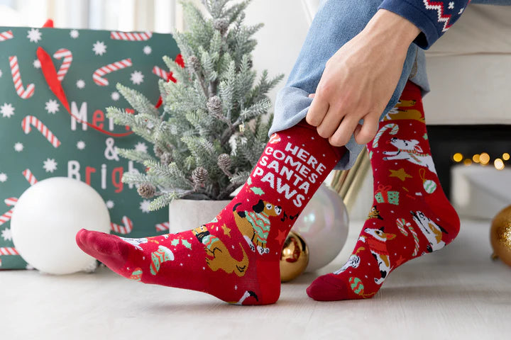 Uptown Sox - Men's - Santa Paws Socks - For Him